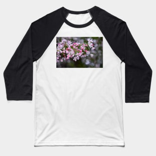 Pink Crab Apple Blossoms Baseball T-Shirt